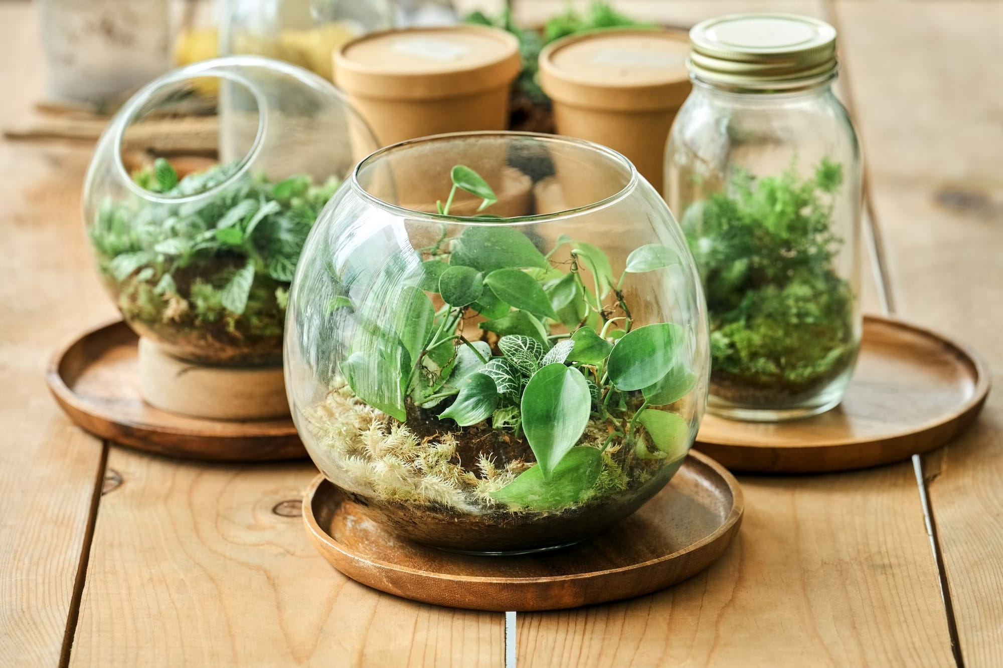 Handmade Happiness: Thoughtful DIY Gift Ideas for Every Occasion